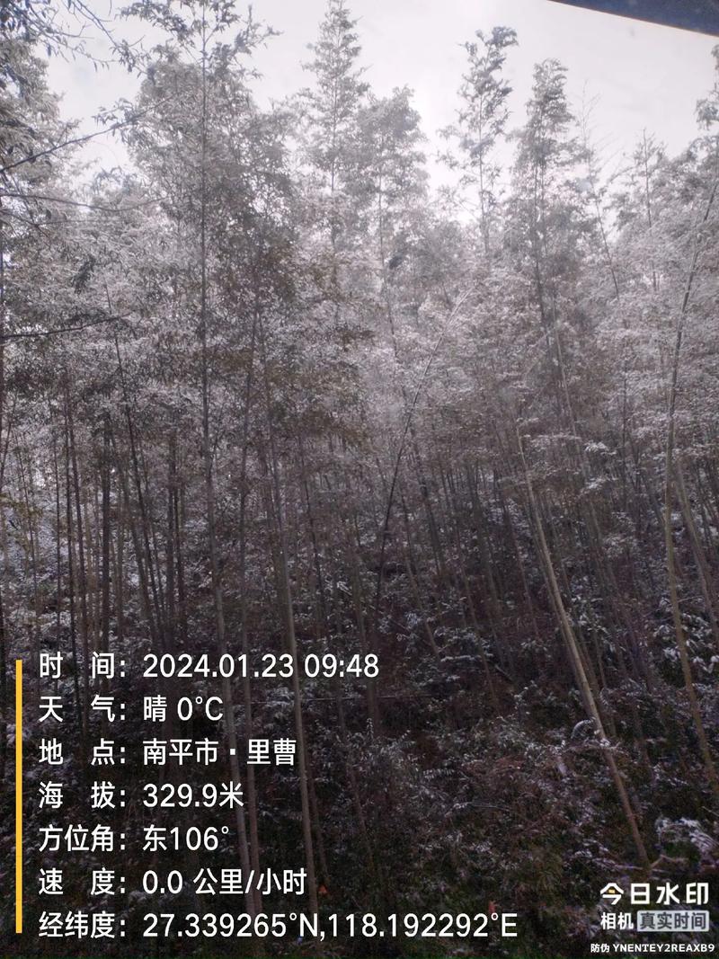 今日科普一下！儿童从雪场缆车掉落,百科词条爱好_2024最新更新